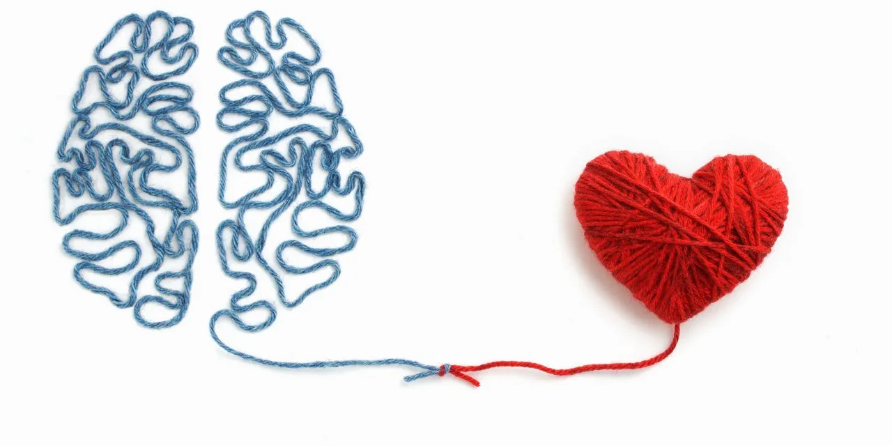 Illustration : un cerveau dessiné en laine bleue et un cœur en laine rouge, reliés par leurs deux fils noués ensemble.